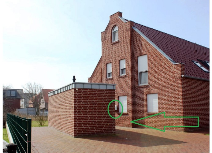 Strandkrabbe