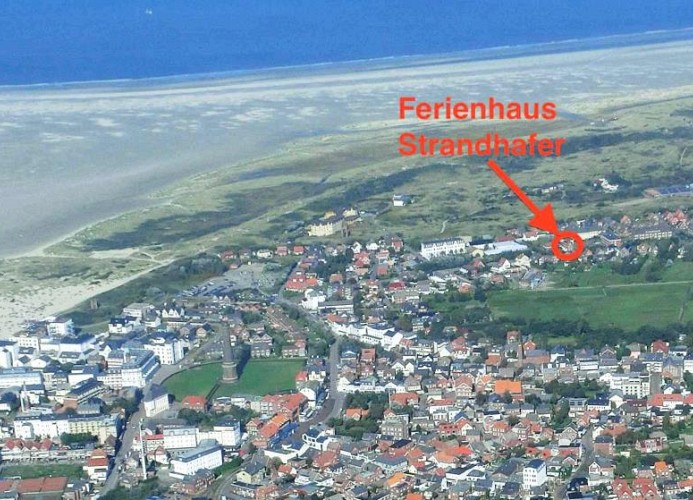 Strandhafer