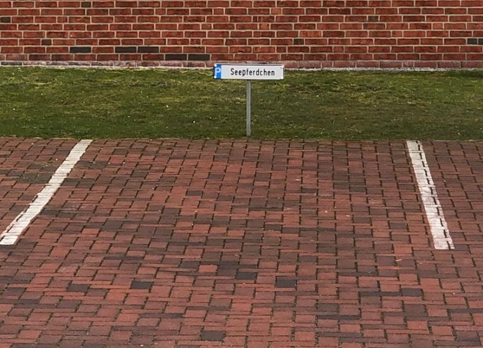 Seepferdchen