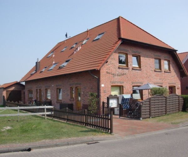 Seestern